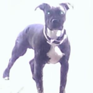 Meet your Posher, Keiya